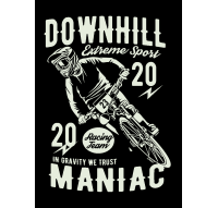 Downhill Maniac Racing